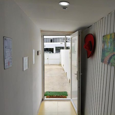 Studio Daires كويمبرا المظهر الخارجي الصورة